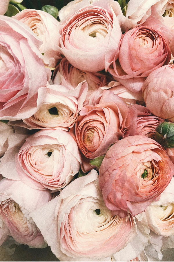 முதல் மரியாதை 