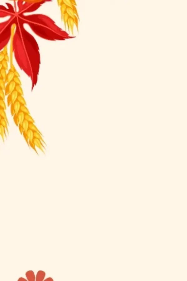 New Subscription Model